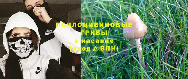 крисы Беломорск