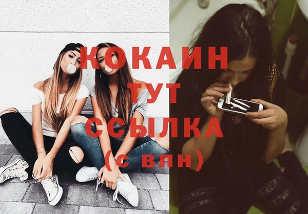 крисы Беломорск
