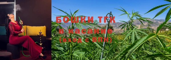 крисы Беломорск
