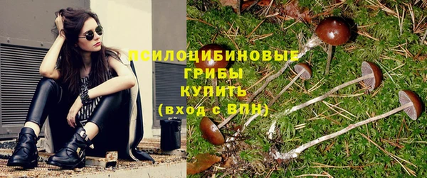 мдма Белокуриха