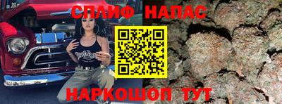 бошки Будённовск