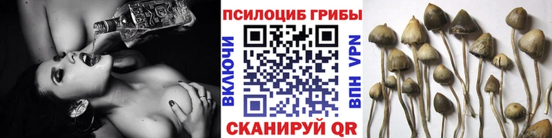 Галлюциногенные грибы мухоморы  Городец 