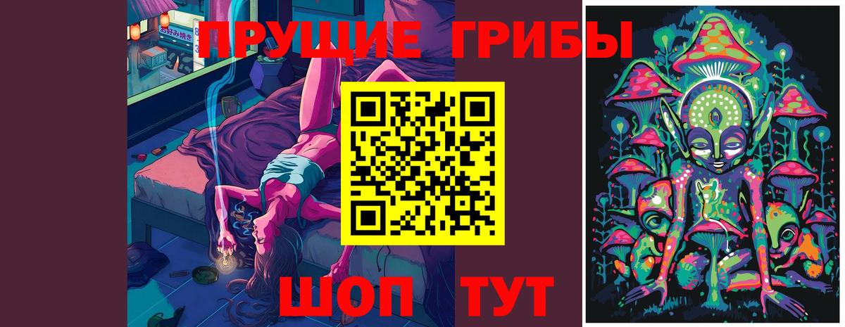 Городец  Псилоцибиновые грибы Cubensis  Вход с VPN 